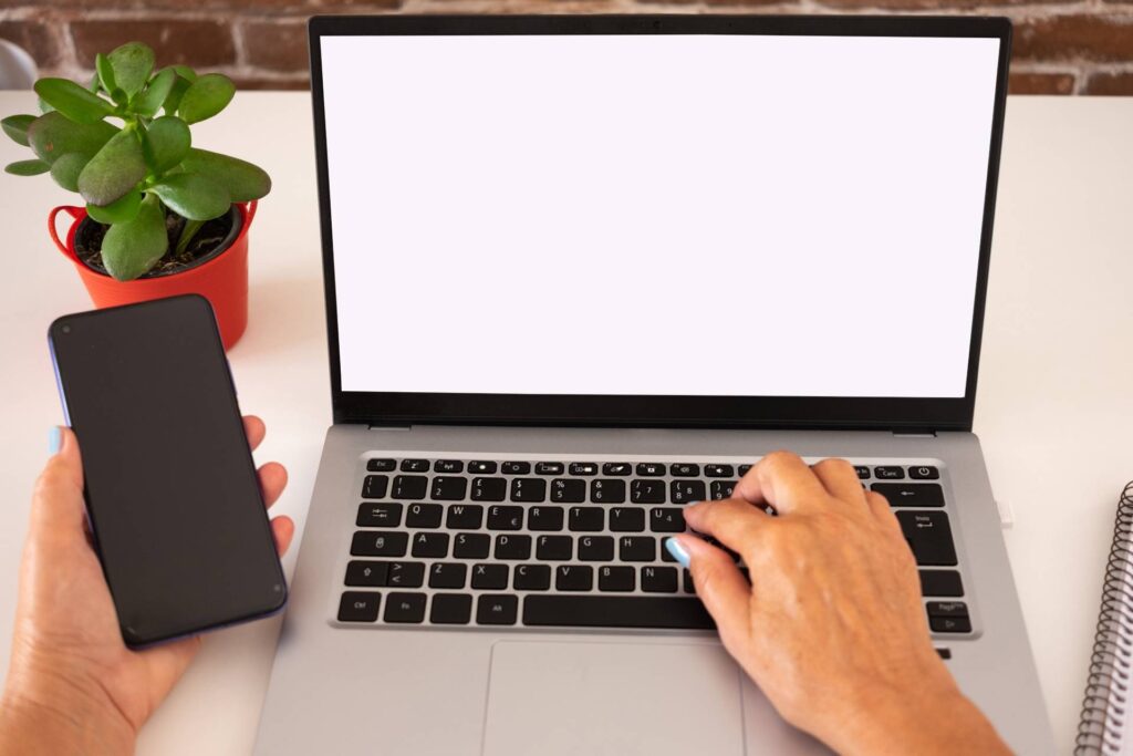 profesionalna izrada vebsajta - webite na laptopu - laptop i mobilni telefon - profi izrada sajtova